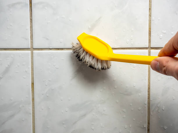 Best Fast Mold Removal  in Medina, MN