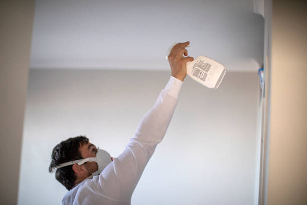 Home Mold Removal in Medina, MN