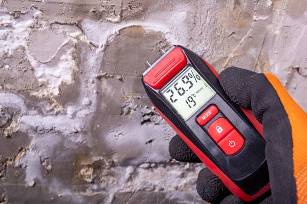 Best Office Mold Removal Services  in Medina, MN