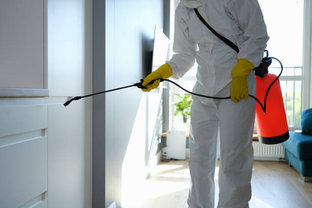 Best Mold Damage Repair  in Medina, MN