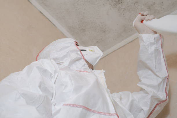 Best Mold Testing  in Medina, MN